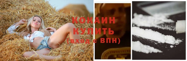 ECSTASY Армянск