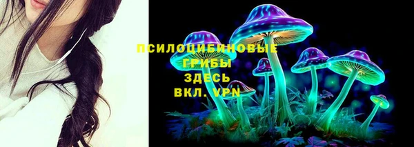 ECSTASY Алексеевка