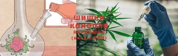 дмт Аркадак