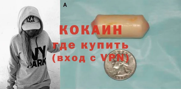 хмурый Алзамай