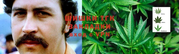 ECSTASY Алексеевка