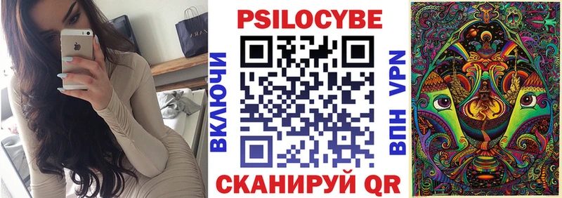 mega ССЫЛКА  Дорогобуж  darknet телеграм  купить  сайты  Галлюциногенные грибы Cubensis 